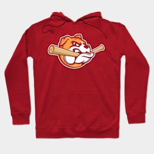 dog baseball Hoodie